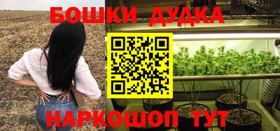 прущие грибы Волжский