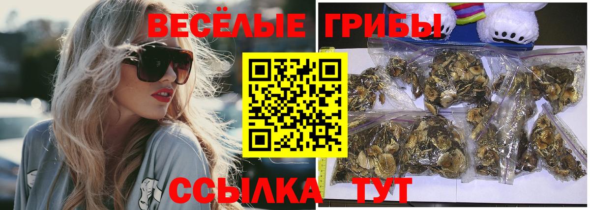 Псилоцибиновые грибы MAGIC MUSHROOMS  Вход с VPN  даркнет сайт  Кириши 