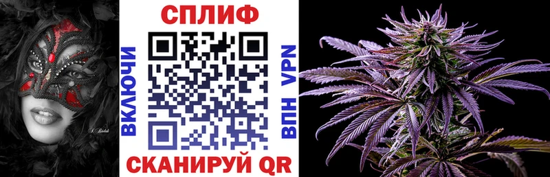 купить наркотик Кириши Бошки Шишки сатива